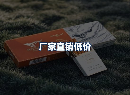 专业团队办公环境